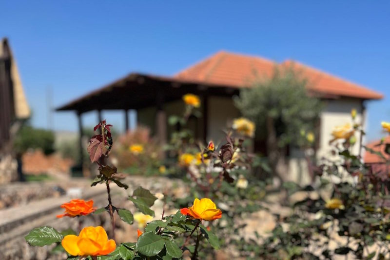 לפי שעה בגליל (4)